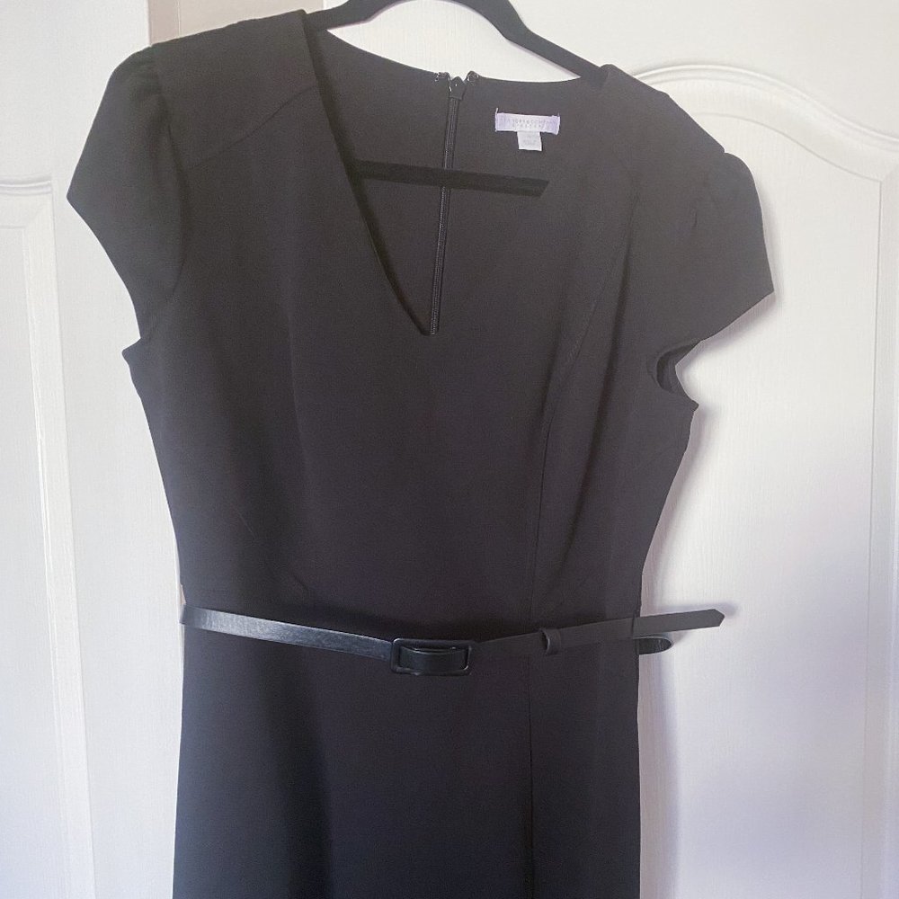 New York & Co. Stretch